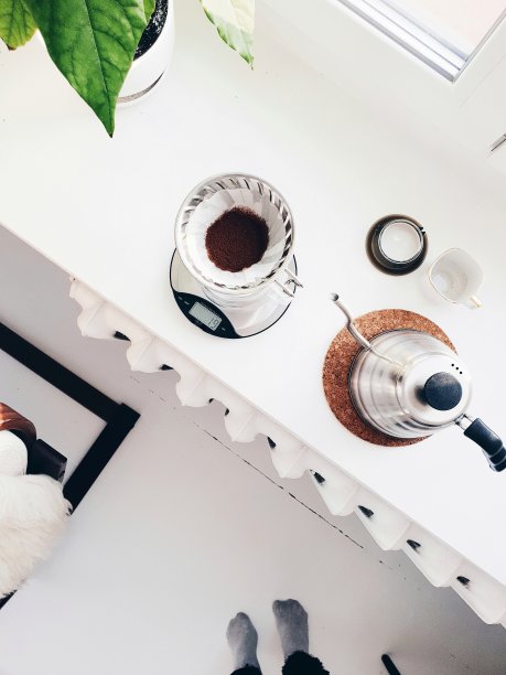 咖啡制作v60图片下载