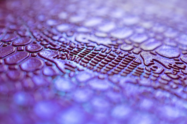 霓虹色的鳄鱼皮纹理。2019年流行概念颜色质子紫色。图片下载