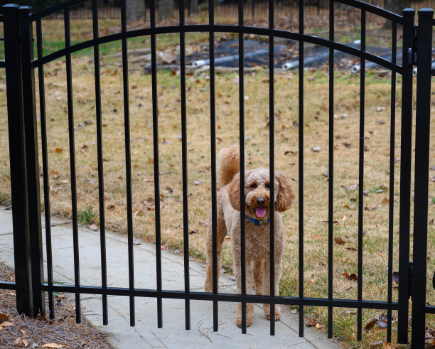 棕色的金色涂鸦，透过大门图片下载
