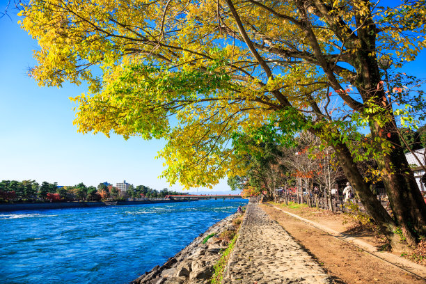 京都宇二川河图片下载