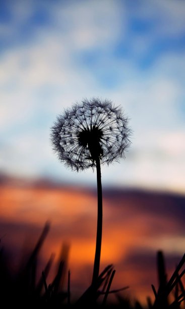 滋养美女壁纸图片下载