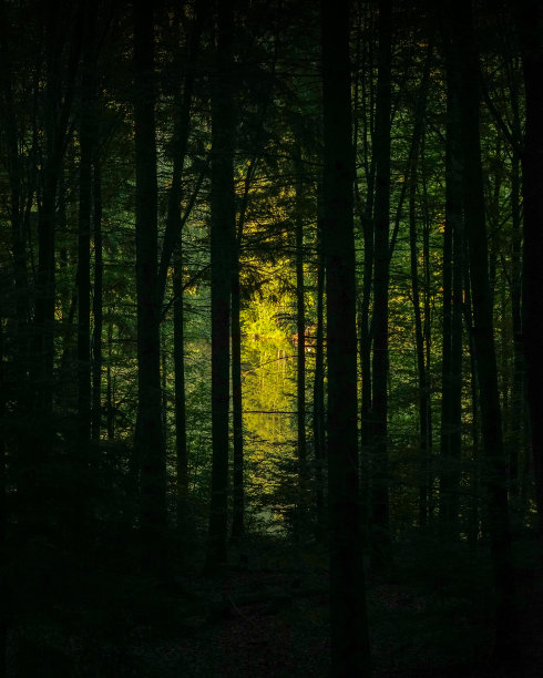 黑暗中的光明图片下载