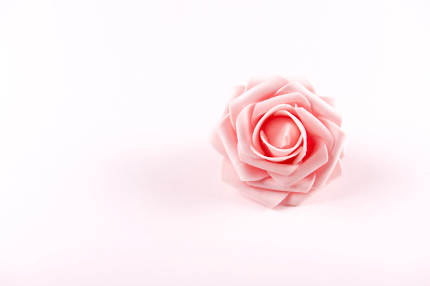 保存新鲜的花图片下载