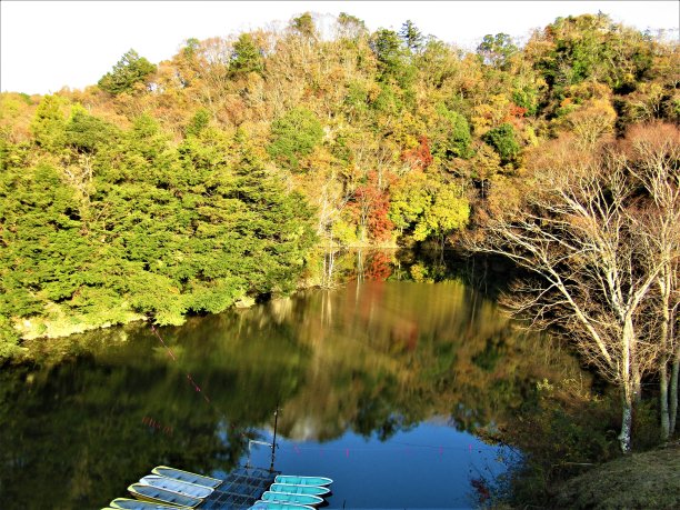 秋天在日本。博索半岛，千叶。这里有很多这样美丽的小湖。图片下载
