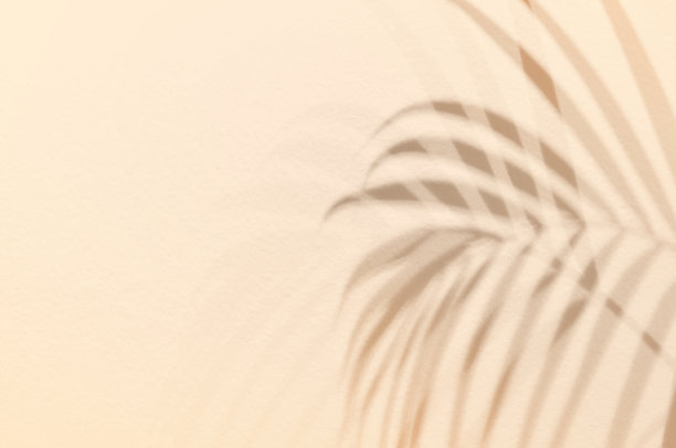 光与影绿叶，棕榈叶在沙色的垃圾墙混凝土背景上。剪影平铺抽象的热带叶自然图案与夏日肌理的临摹空间。软背景图像。图片下载