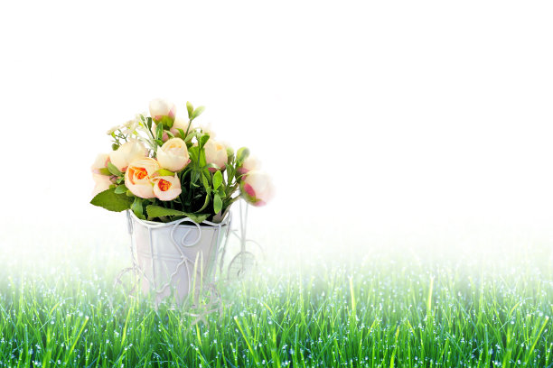 复古自行车与粉红色的花篮子玫瑰在新鲜的绿色草地上与露珠在光的背景。概念情人节、母亲节、婚礼或3月8日贺卡图片下载