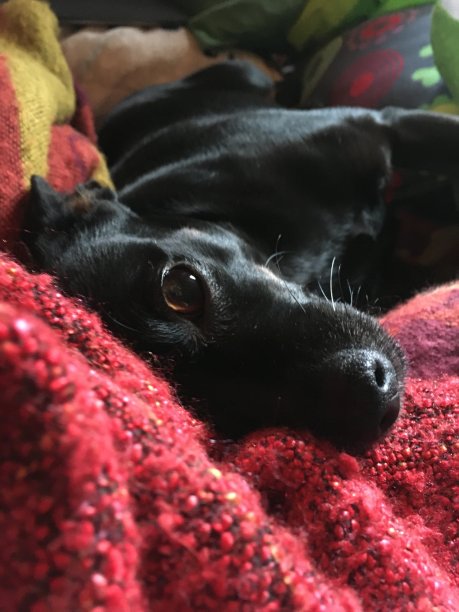 梦想的颜色图片下载