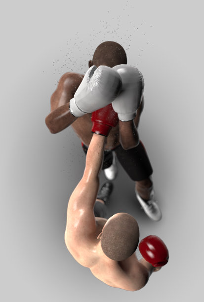 布尔战斗投掷拳孤立俯视图3d渲染图片下载
