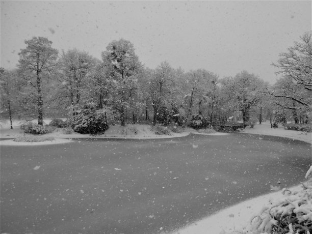 冰湖上的雪景图片下载