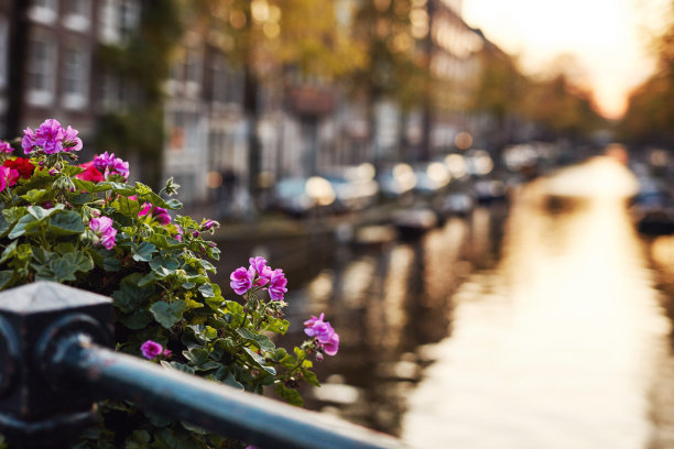 阿姆斯特丹正慢慢成为浪漫的新城图片下载