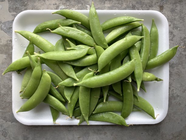 糖豌豆图片下载