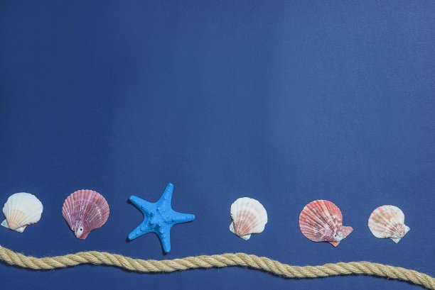 美丽的贝壳和海星，绳子在深蓝色的背景上。图片下载