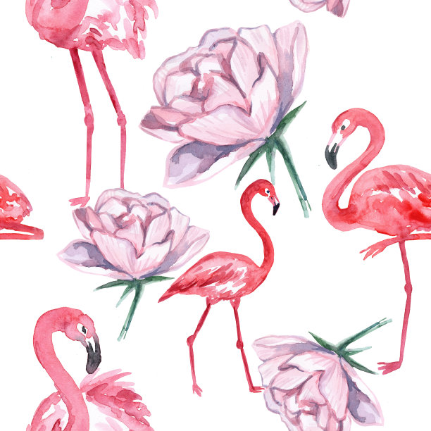 粉红色火烈鸟花图案。水彩绘画。白色背景上的粉红色火烈鸟。美丽的水彩花卉。无缝模式。图片下载