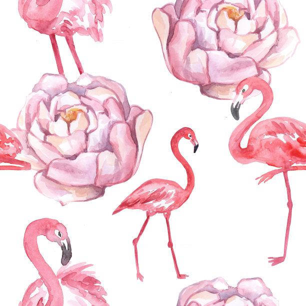 粉红色火烈鸟花图案。水彩绘画。白色背景上的粉红色火烈鸟。美丽的水彩花卉。无缝模式。素材图片