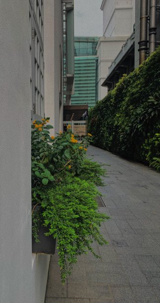 墙艺术图片下载