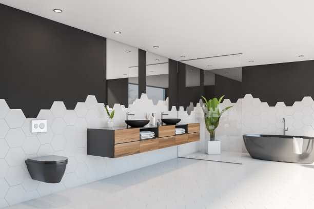 浴室一角贴黑白瓷砖带卫生间图片下载