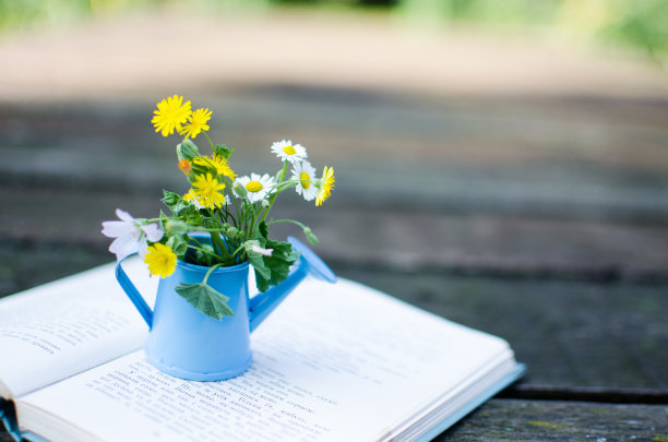 装着水和花的小喷壶图片下载