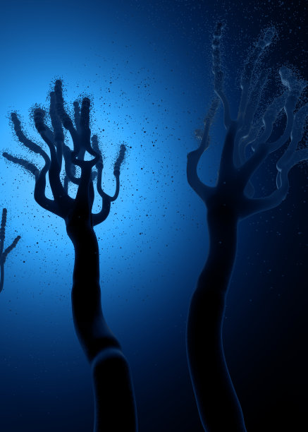 生长的霉菌或霉菌真菌和孢子的显微镜放大- 3d插图图片下载