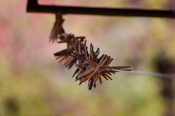衣夹在电线上互相聊天图片下载