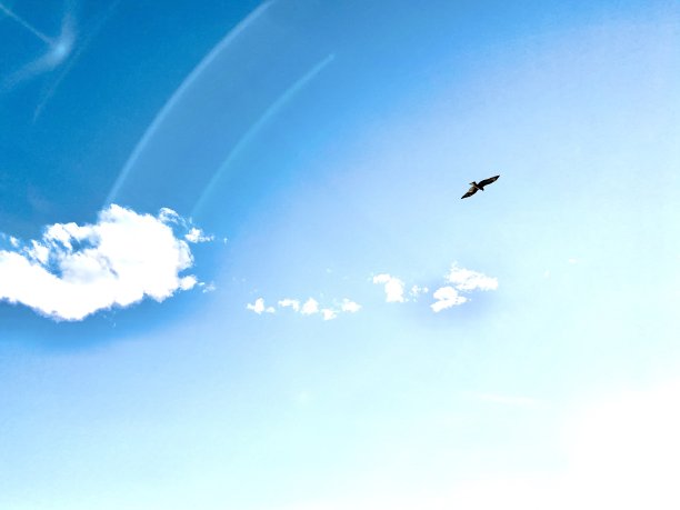 日本镰仓的天空图片下载