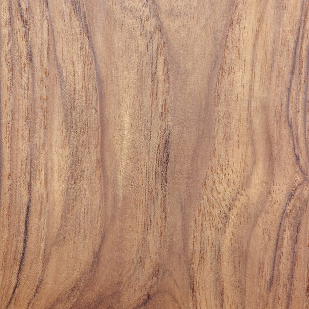 木质背景或纹理图片下载