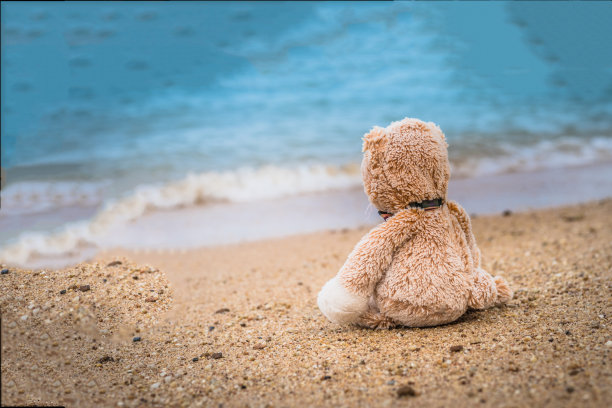 泰迪熊独自坐在海边图片下载