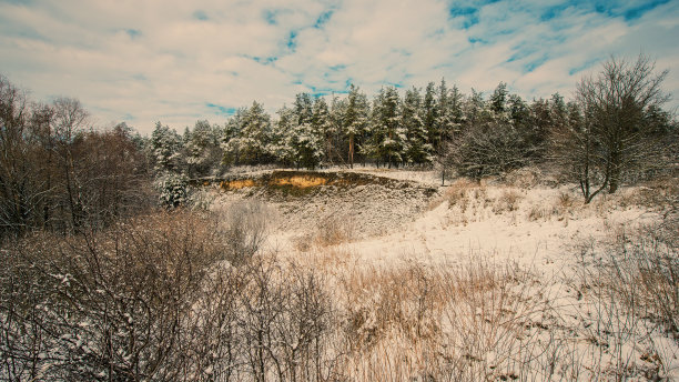 森林覆盖在山坡上的新雪，乡村全景。图片下载