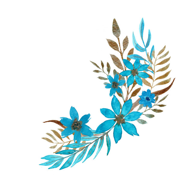 水彩画的金色和蓝色的花排列成花束。用于明信片、标签、不干胶、袋子、包装。图片下载