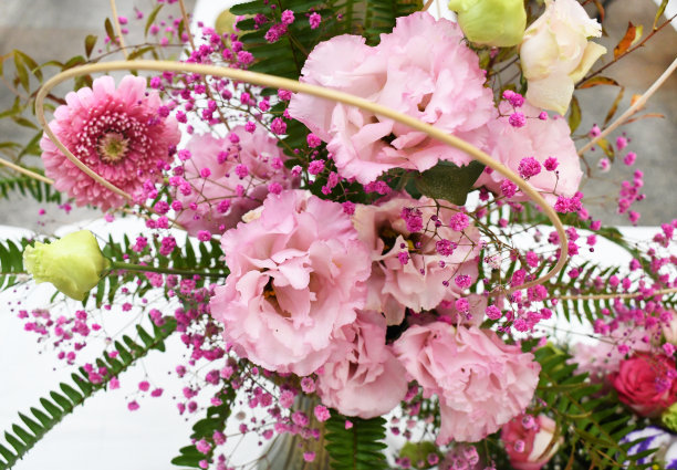 粉色的花朵图片下载