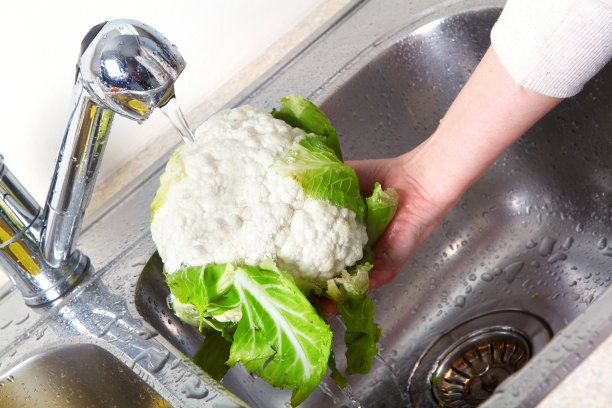 水槽里的白卷心菜图片下载