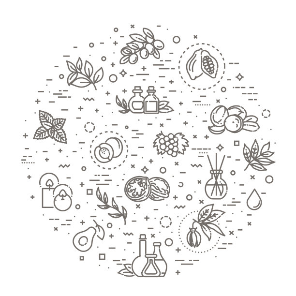 向量集的自然成分和油化妆品在线性风格图片下载