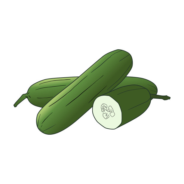 新鲜的黄瓜图片下载