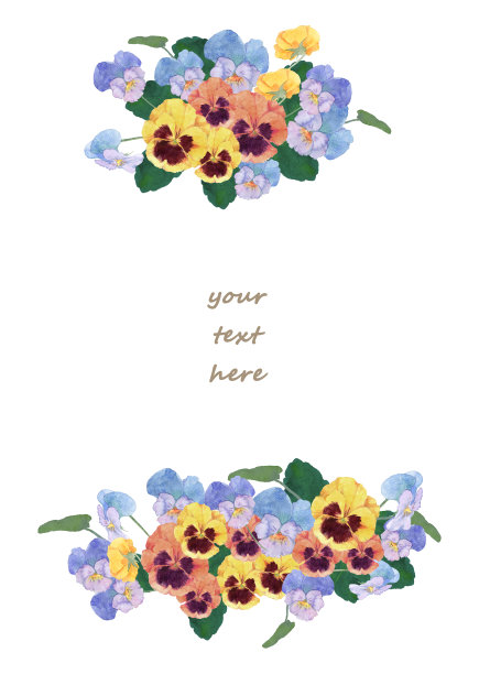 三色堇花的水彩插图图片下载