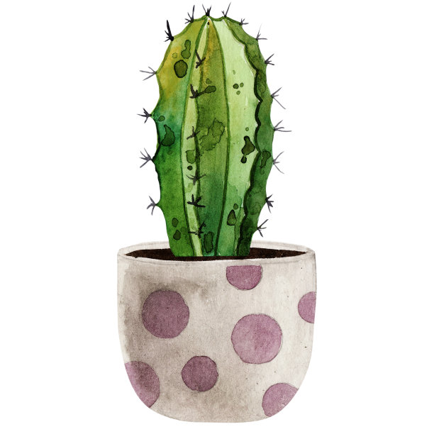 水彩室内植物孤立的白色背景。最适合剪贴簿，室内草图，墙纸，印刷品，织物设计，纺织品，海报。手绘插图。时尚的绿色植物素材图片