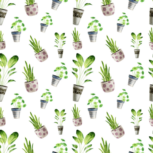时尚水彩无缝模式与盆栽室内植物。可用于剪贴簿、海报、墙纸、纺织品、织物。家居绿化设计，室内素描图片下载