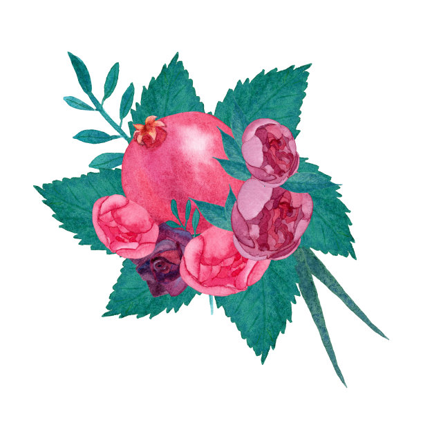 水彩花和石榴花束。用于明信片、标签、不干胶、袋子、包装图片下载