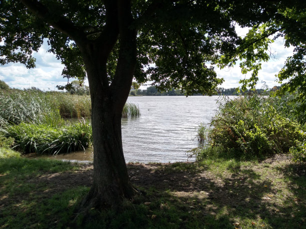 夏天的湖景图片下载