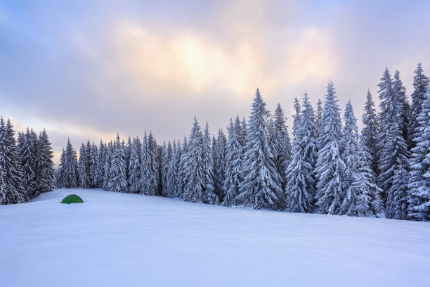 令人惊叹的景色在寒冷的冬日。森林里的草坪上，矗立着绿色的旅游帐篷，通往它的小路很宽。美丽的雪树在山上。壁纸背景。图片下载