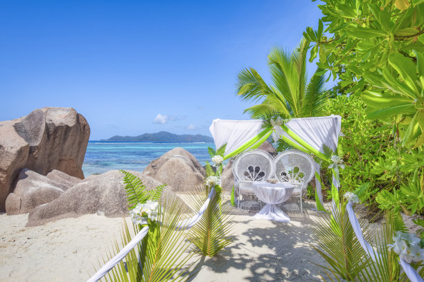 浪漫的婚礼海滩Anse Source d´Argent雕刻花岗岩和棕榈树-拉迪格岛，塞舌尔，印度洋群岛。图片下载