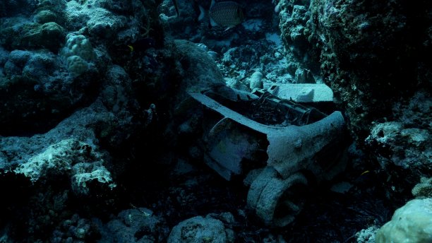 马尔代夫海底珊瑚礁的海洋碎片图片下载