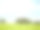 绵羊在阳光明媚的夏季景观图片下载