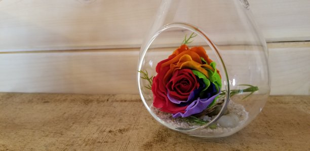 多色花图片下载