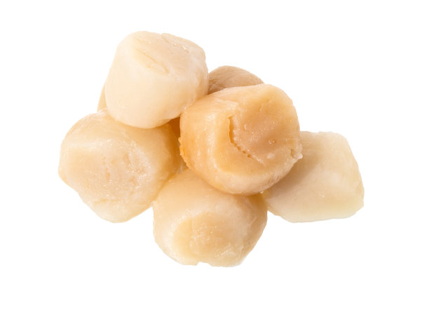 孤立的扇贝在白色上图片下载