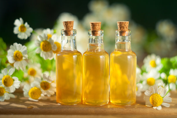 鲜花精华放在桌上漂亮的玻璃瓶里图片下载