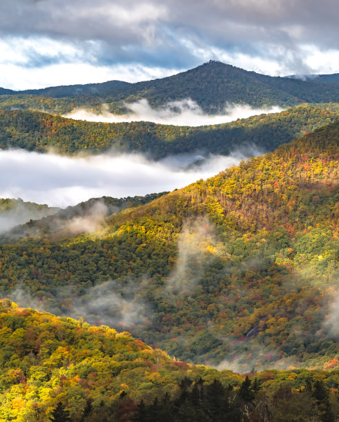 清晨秋雾照片在北卡罗莱纳的蓝脊公园路图片下载