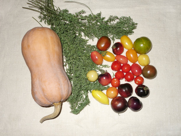 亚麻桌布上放着一个大南瓜和各种颜色的西红柿。图片下载