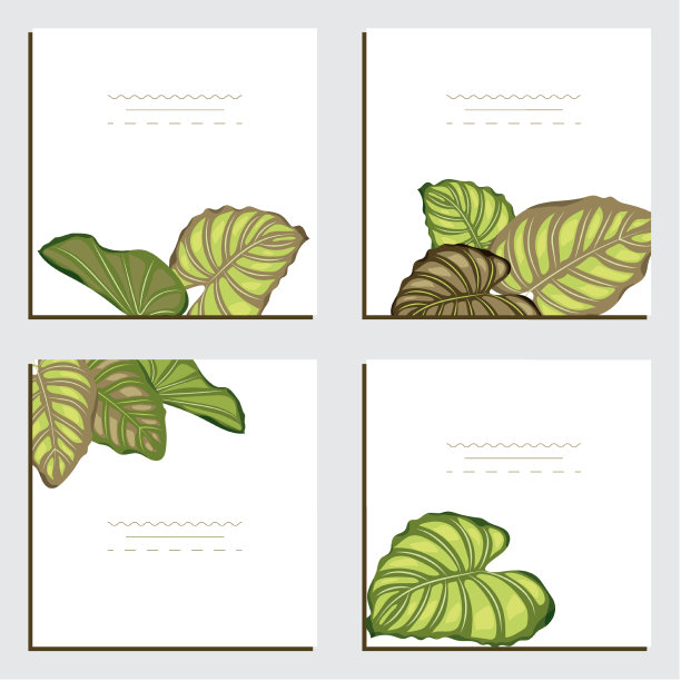 ]]±)3/4)1/2图片下载