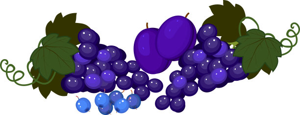 白色背景下分离的不同蓝色果实的成分图片下载