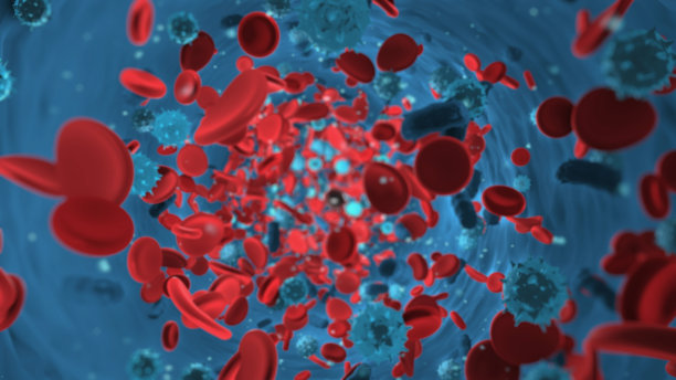 血液中的红细胞和病毒细胞图片下载