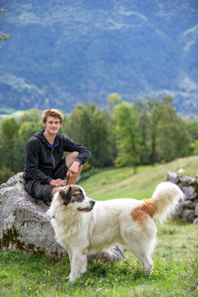牧场上的年轻牧羊人和波斯尼亚牧羊犬的肖像图片下载